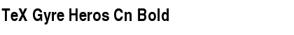 Download TeX Gyre Heros Cn Bold Font Title Preview