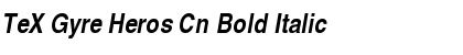 Download TeX Gyre Heros Cn Bold Italic Font Title Preview