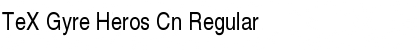 Download TeX Gyre Heros Cn Regular Font Title Preview