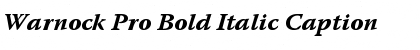 Download Warnock Pro Bold Italic Caption Font