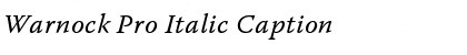 Download Warnock Pro Italic Caption Font