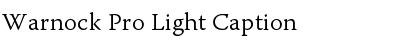 Download Warnock Pro Light Caption Font
