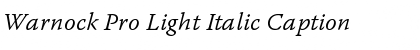 Download Warnock Pro Light Italic Caption Font