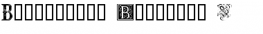 Download Ornamental Initials B Regular Font Title Preview