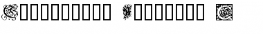 Download Ornamental Initials C Regular Font Title Preview