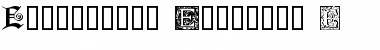 Download Ornamental Initials E Regular Font Title Preview