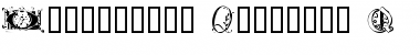 Download Ornamental Initials Q Regular Font Title Preview