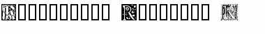 Download Ornamental Initials R Regular Font Title Preview
