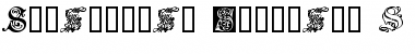 Download Ornamental Initials S Regular Font Title Preview