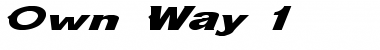 Download Own Way 1 Italic Font Title Preview