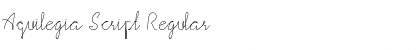Download Aquilegia Script Regular Font Title Preview