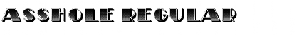 Download Asshole Regular Font Title Preview