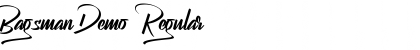 Download Bagsman Demo Regular Font Title Preview
