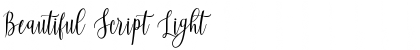 Download Beautiful Script Light Font Title Preview