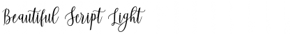 Download Beautiful Script Light Font Title Preview