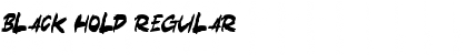 Download Black Hold Regular Font Title Preview