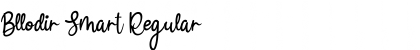 Download Bllodir Smart Regular Font Title Preview