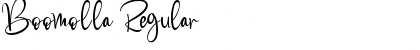 Download Boomolla Regular Font Title Preview