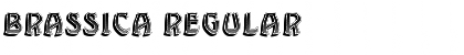 Download Brassica Regular Font Title Preview