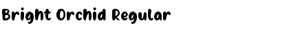 Download Bright Orchid Regular Font Title Preview