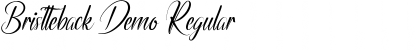 Download Bristteback Demo Regular Font Title Preview