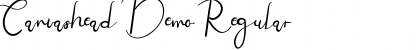 Download Canvashead Demo Regular Font Title Preview