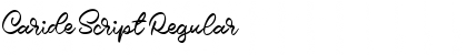 Download Caride Script Regular Font Title Preview