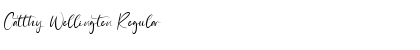 Download Catthy Wellingten Regular Font Title Preview