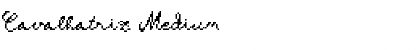 Download Cavalhatriz Medium Font Title Preview