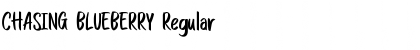 Download CHASING BLUEBERRY Regular Font Title Preview