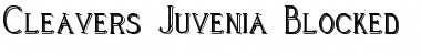 Download Cleaver's_Juvenia_Blocked Regular Font Title Preview