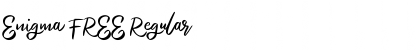 Download Enigma FREE Regular Font Title Preview