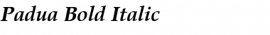 Download Padua Bold Italic Font