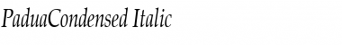 Download PaduaCondensed Italic Font