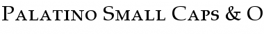 Download Palatino SC Regular Font Title Preview