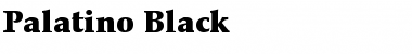 Download Palatino-Black Black Font Title Preview