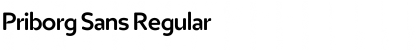 Download Priborg Sans Regular Font Title Preview