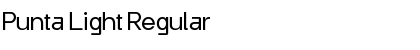 Download Punta Light Regular Font Title Preview
