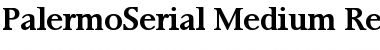 Download PalermoSerial-Medium Regular Font