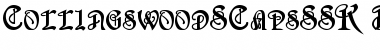 Download CollingswoodSCapsSSK Bold Font Title Preview