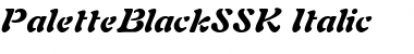 Download PaletteBlackSSK Italic Font