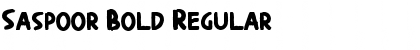 Download Saspoor Bold Regular Font Title Preview