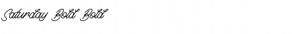 Download Saturday Bold Bold Font Title Preview