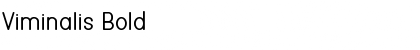 Download Viminalis Bold Font Title Preview