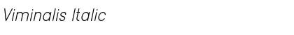 Download Viminalis Italic Font Title Preview