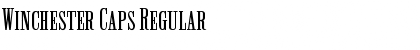 Download Winchester Caps Regular Font Title Preview