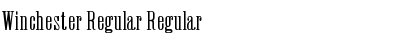 Download Winchester Regular Regular Font Title Preview