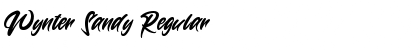 Download Wynter Sandy Regular Font Title Preview