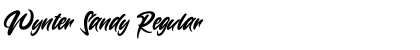 Download Wynter Sandy Regular Font Title Preview