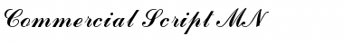 Download Commercial Script MN Regular Font Title Preview
